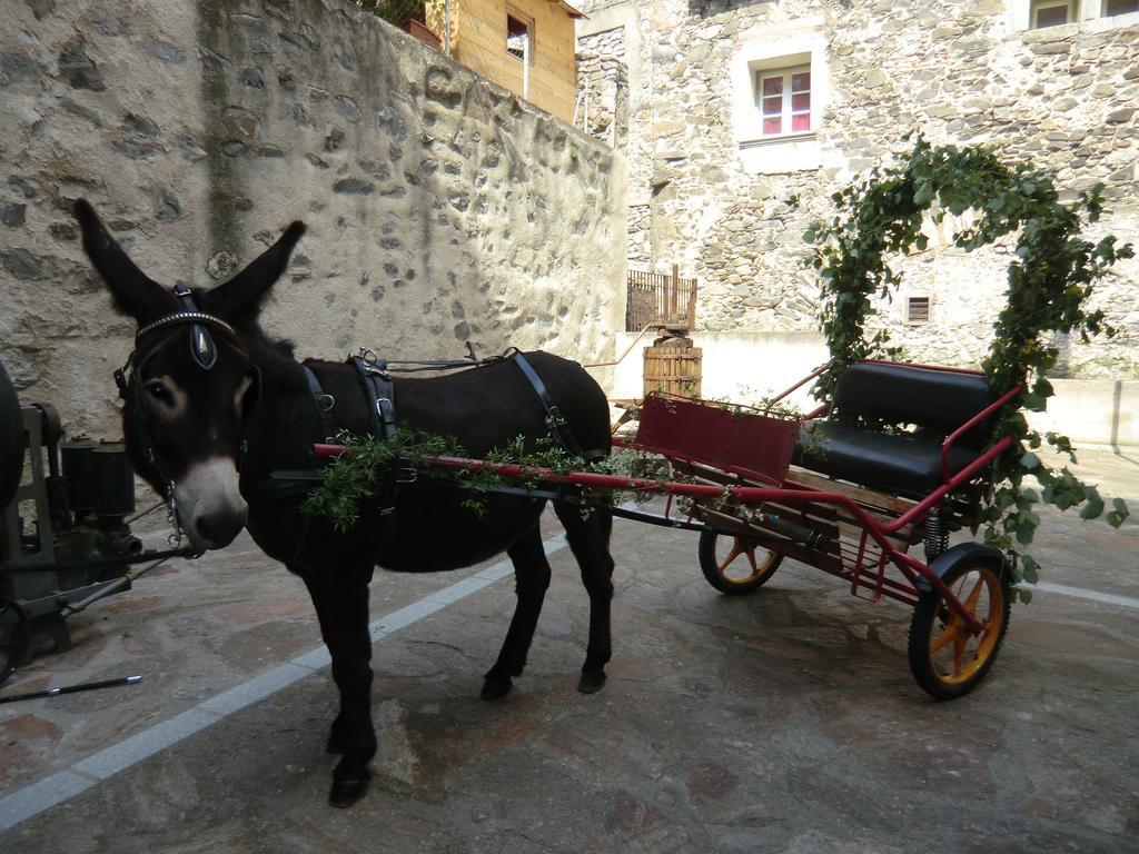 Le Moulin De Sournia Hotel Kültér fotó